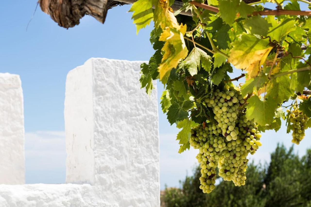 Vatha Traditional Cottage With A View Μενετές Εξωτερικό φωτογραφία